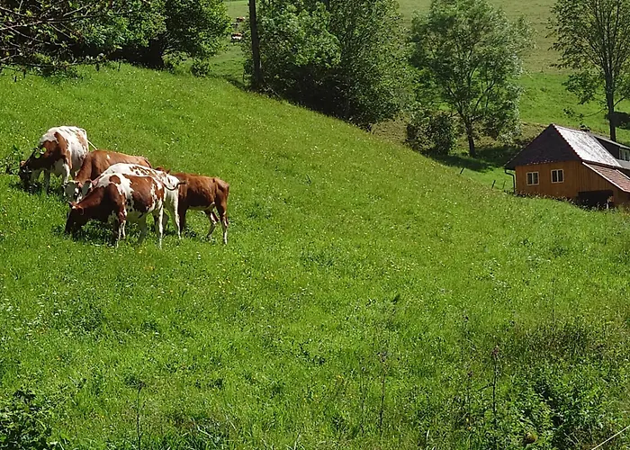 Brosihof