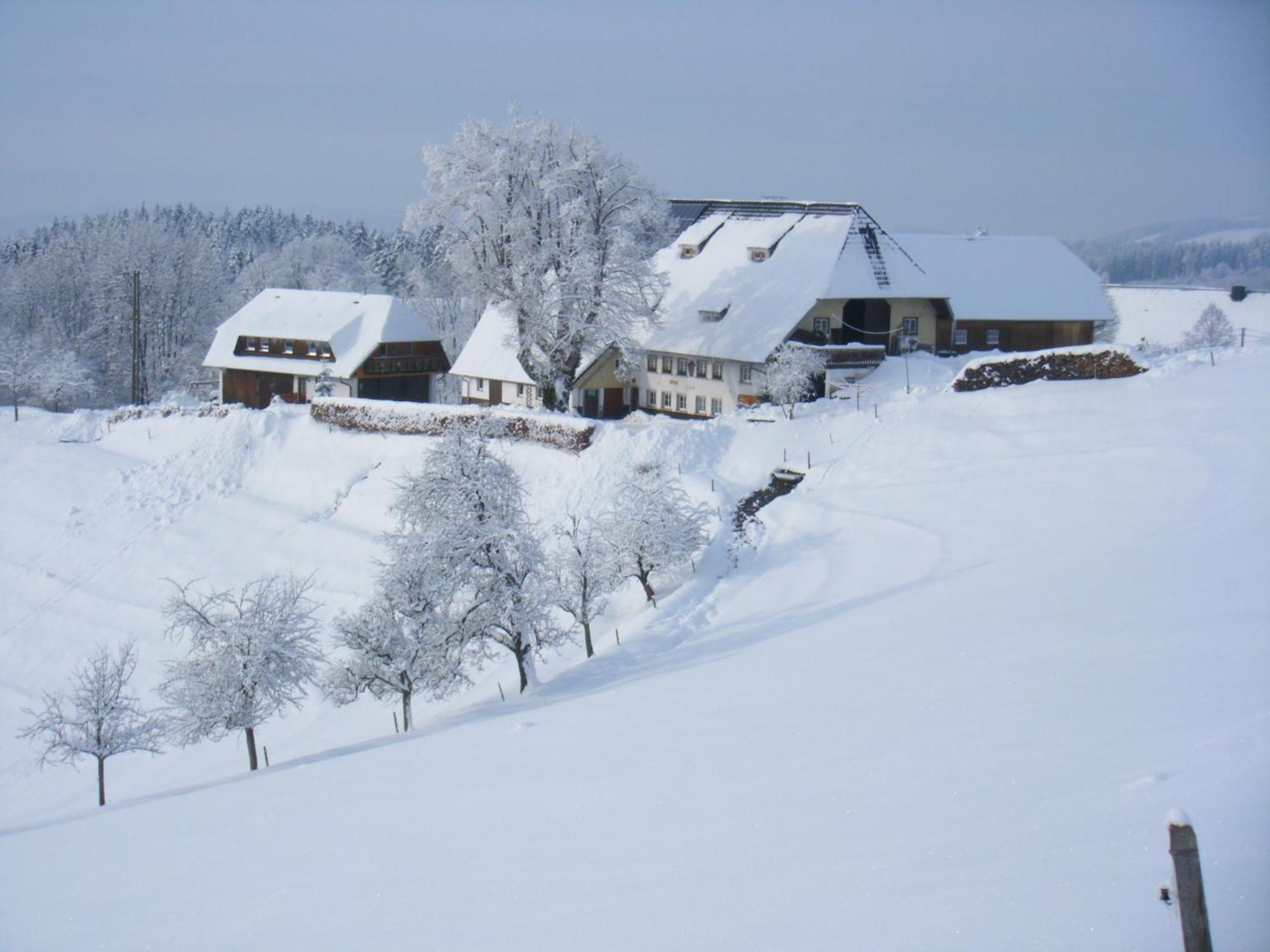 Brosihof Apartment