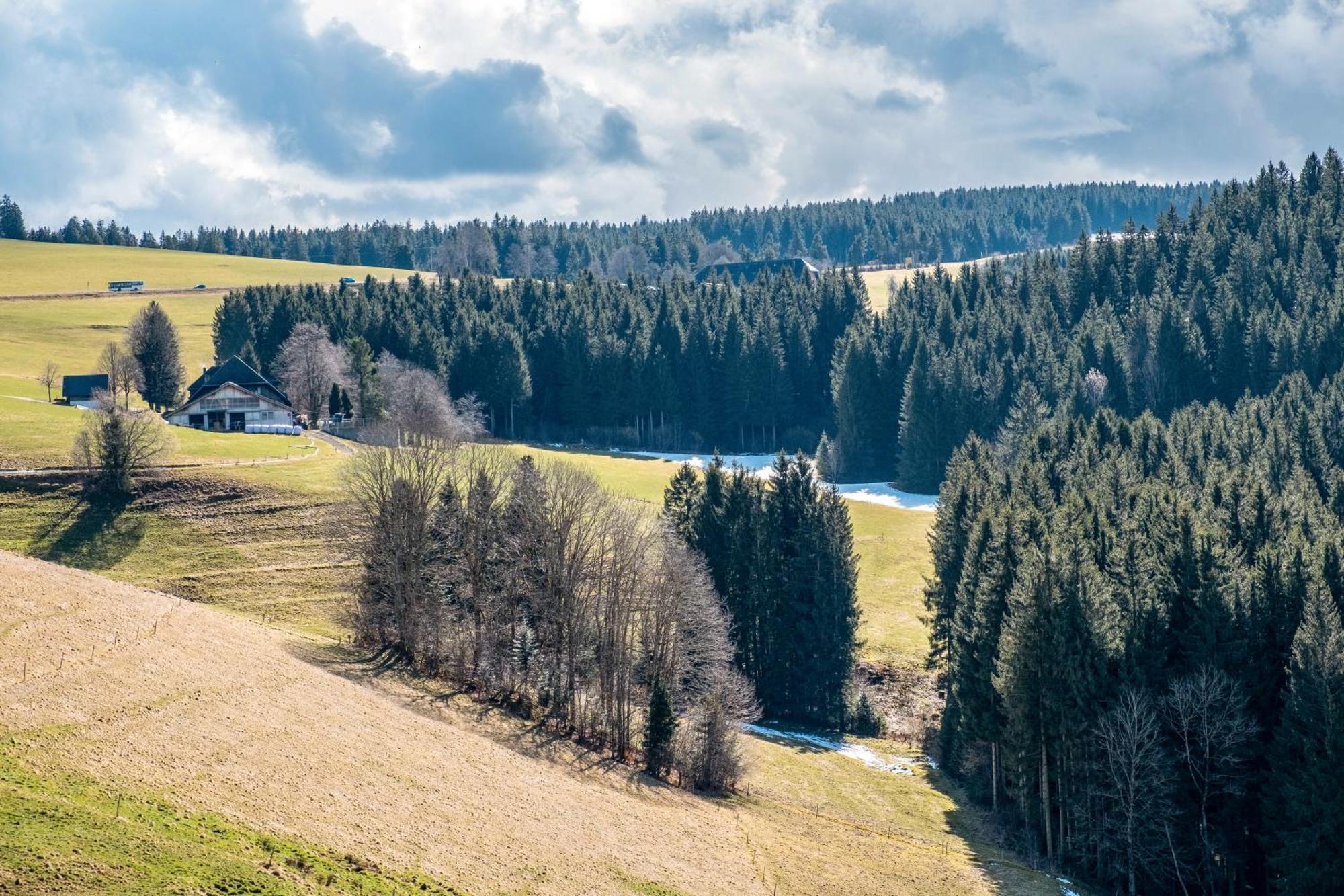 Apartment Brosihof Erlenbach (Baden-Wurttemberg)